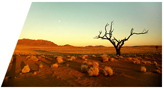 Kanaan Photographic Safari