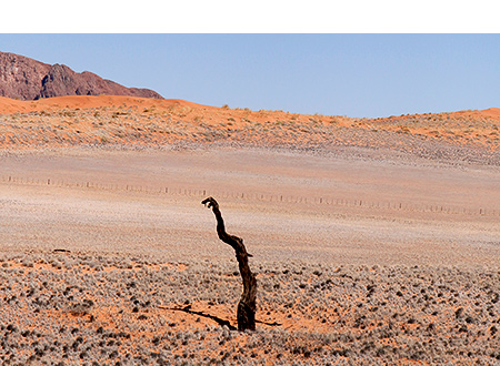 Kanaan N/a’an ku sê Desert Retreat